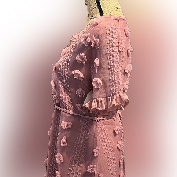 NWT Andree by Unit Ruffle Dress Size M Rose Chenille Swiss Dot Sexy Lined Belted - Picture 6 of 15